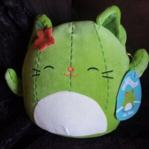 Squishmallow Ms. Miss Cactus Cat 8" (NWT)